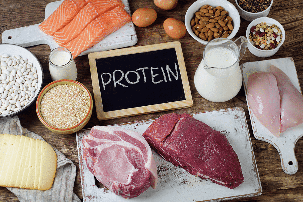 what is protein
